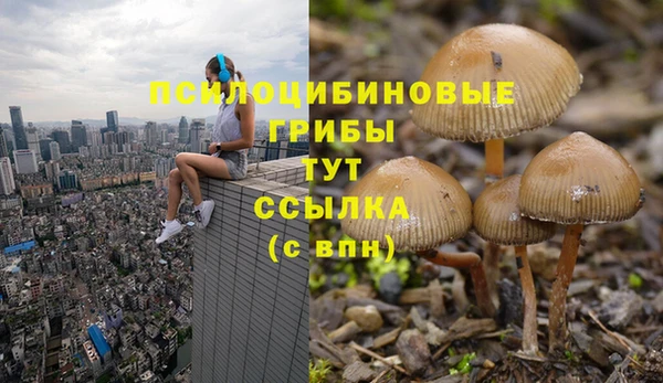 ПСИЛОЦИБИНОВЫЕ ГРИБЫ Белоозёрский