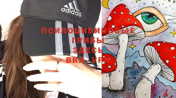 твердый Белокуриха