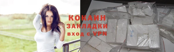 твердый Белокуриха