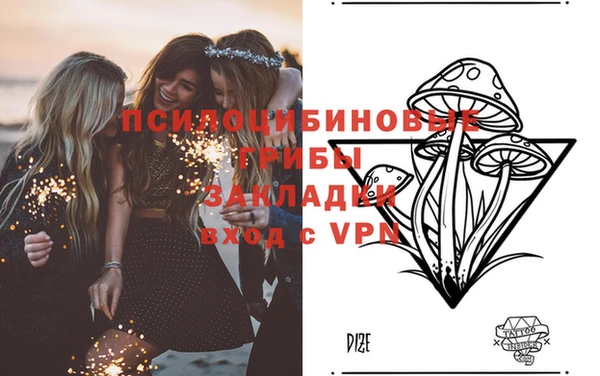 ПСИЛОЦИБИНОВЫЕ ГРИБЫ Белоозёрский
