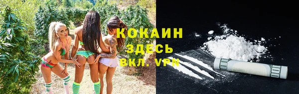 индика Россошь